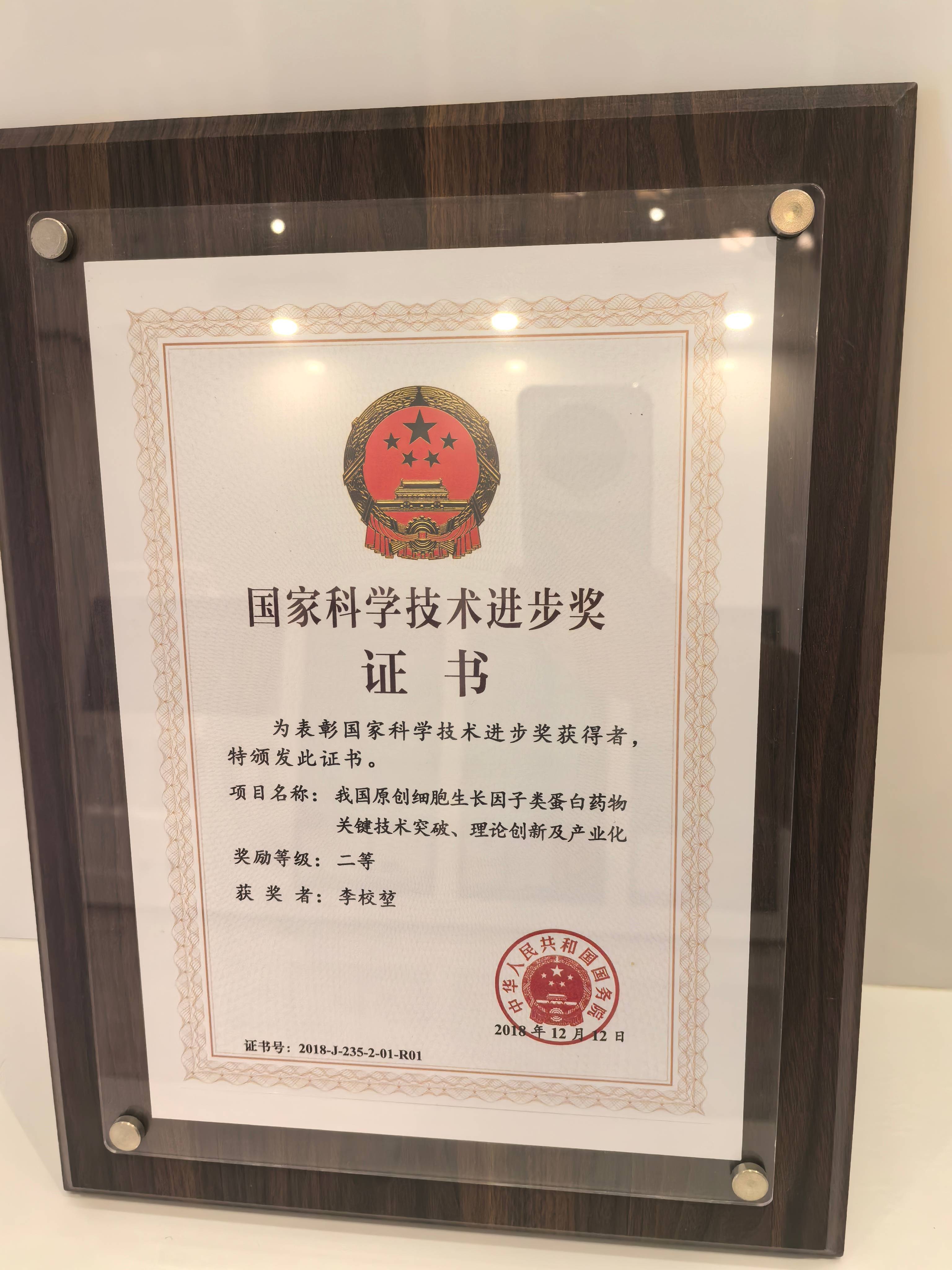 荣誉证书