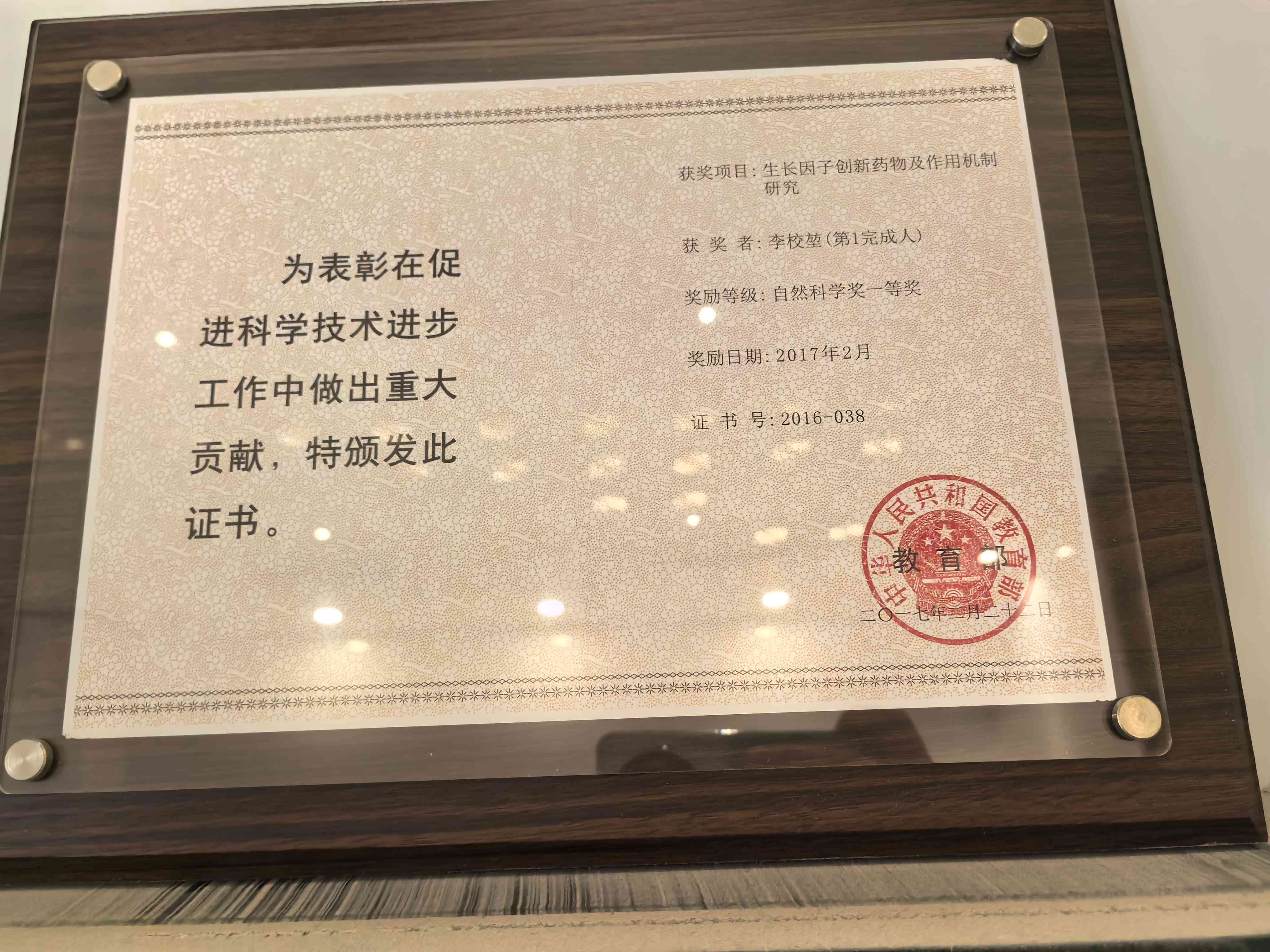 荣誉证书